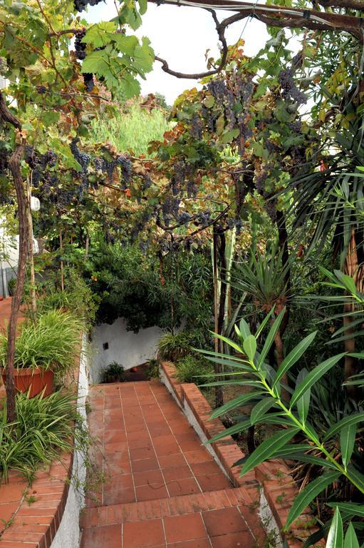 Villa Maria Antonietta В'єтрі Номер фото